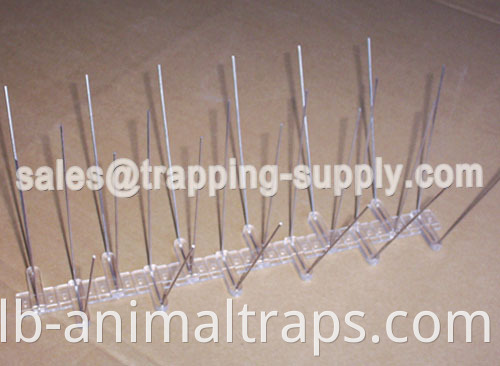 Polycarbonate Base Stainless steel Bird Spike
